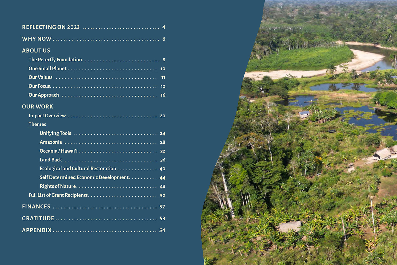 One Small Planet Water